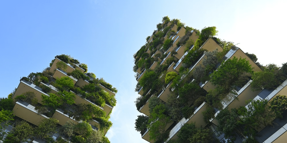 The Surging Trend Towards Sustainable Real Estate