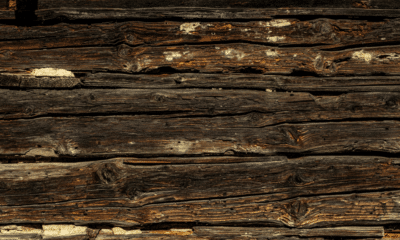 Pelican Pest Control Baton Rouge's Termite Defense Experts