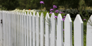 Why Fences Matter A Deep Dive into the Role of Fencing_2