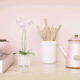 Apartment Cleaning in Frisco- A Breath of Fresh Air
