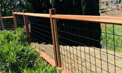 Innovative Uses of Welded Wire Mesh
