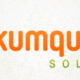Kumquat Solar Leads the Charge in Helping Homeowners Go Solar