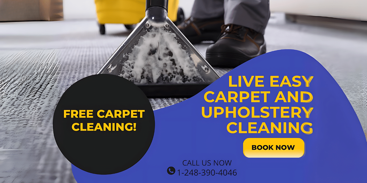 Live Easy Carpet and Upholstery Cleaning Setting the Standard for Quality and Customer Satisfaction in Detroit (2)
