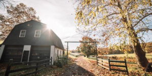 Family-Oriented Rentals: Connor Robertson's Hocking Hills Project