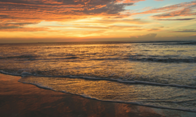Mark McRae of Abrams Realty Transforming Lives Through Real Estate on the Eastern Coast