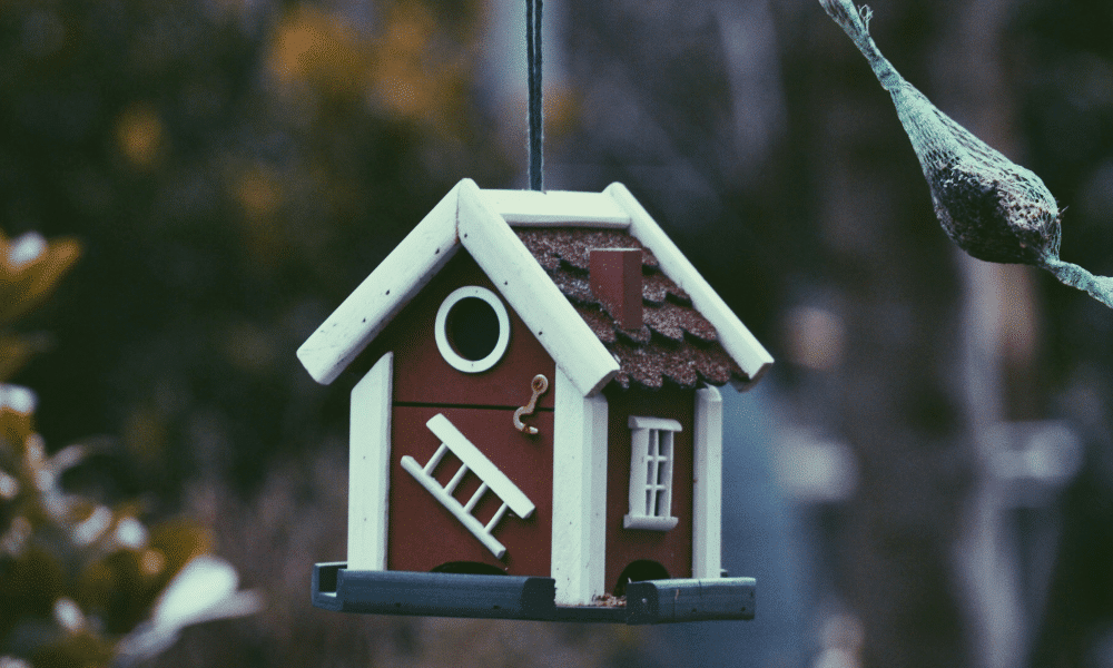Photo: Unsplash.com