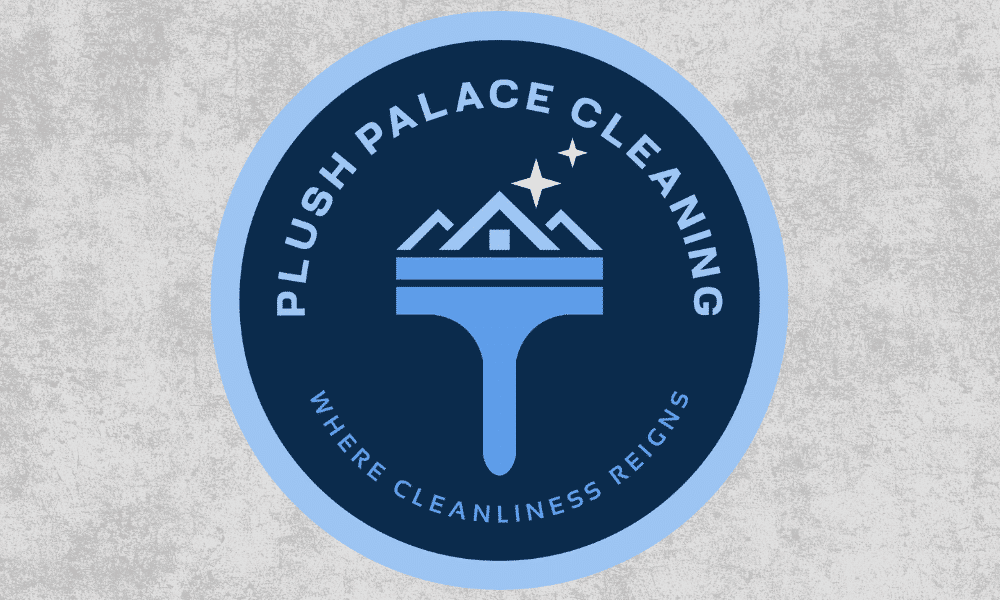 Redefining Cleanliness Jeshaiah Nixon's Mission to Improve Lives Through Plush Palace Cleaning (2)