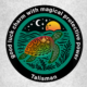 Talisman Turtle Launches- A Great Gift and Community Support Initiative