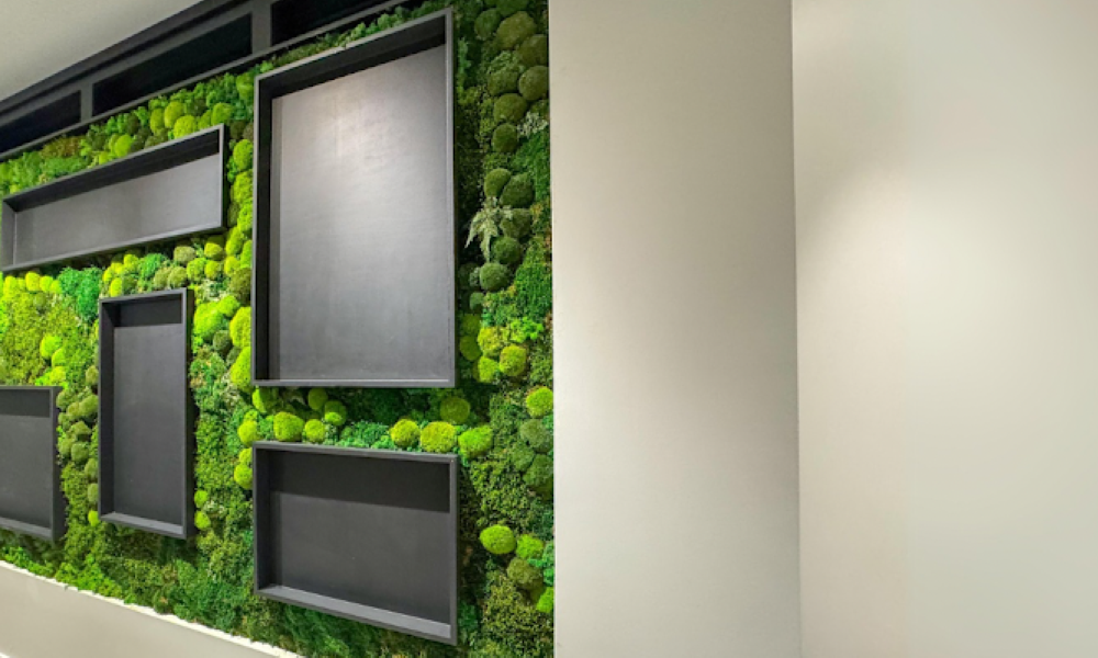 Trendy Gardener: Iowa's Largest Residential Preserved Moss Wall
