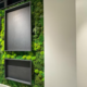Trendy Gardener: Iowa's Largest Residential Preserved Moss Wall