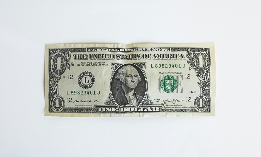 The Rise of Sustainable and Green Bonds: What Investors Should Know