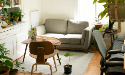 Wellness-Driven Homes Eco-Friendly Design for Health