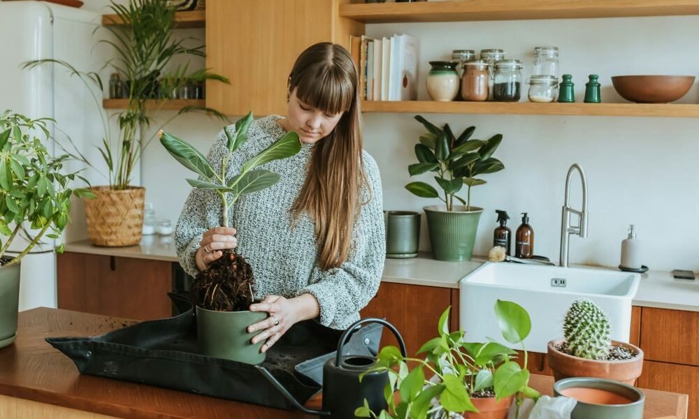 How Biophilic Design is Transforming Homes and Workplaces by Connecting People with Nature