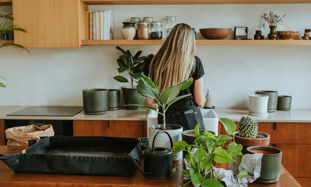 How Dr. Connor Robertson Help Turns “Boring” Businesses into Household Names