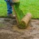 Truvian Lawn Care Transforms Lawns with Professional Sod Installation Services