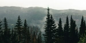 Montana Real Estate Mastery: Why Mark Twite Is the Man for the Job