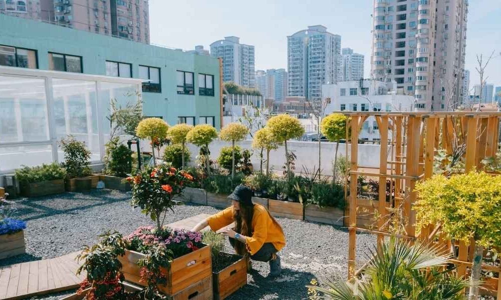 Demand for Sustainable Real Estate Grows as Tenants Seek Greener Buildings