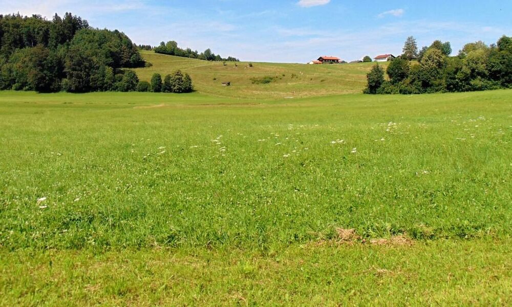 Samana Group on Why Land Banking Is a Long-Term Strategic Asset