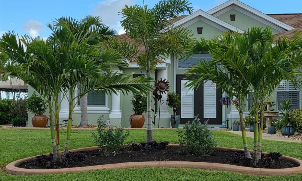 Kustomized Kurbing Enhances Southwest Florida Landscapes with Expert Palm Tree Installation