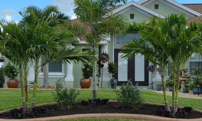 Kustomized Kurbing Elevates Outdoor Living with Expert Palm Tree Installation in Southwest Florida
