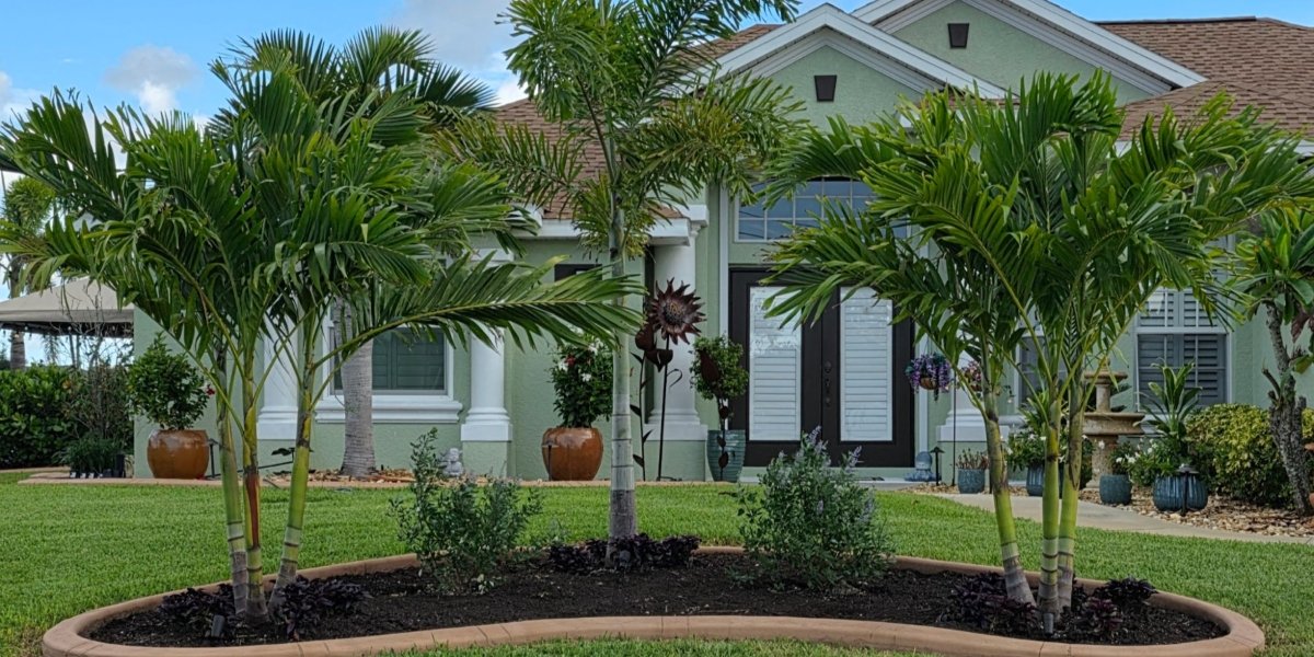 Kustomized Kurbing Elevates Outdoor Living with Expert Palm Tree Installation in Southwest Florida