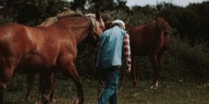 Ted Turner’s Land Empire Offers Lessons in Property Investment