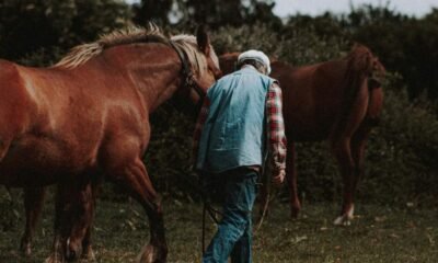Ted Turner’s Land Empire Offers Lessons in Property Investment