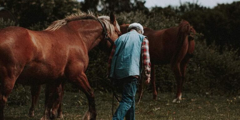 Ted Turner’s Land Empire Offers Lessons in Property Investment