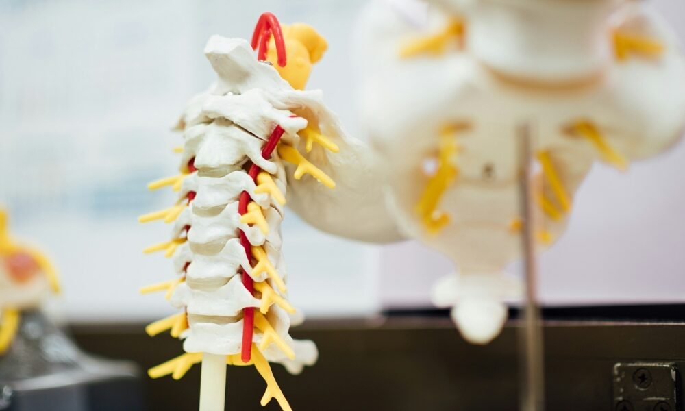 Non-Surgical Disc Pain Care for Broward County Patients