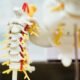 Non-Surgical Disc Pain Care for Broward County Patients