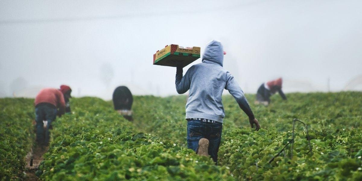 Field-Ready Cooler Maintenance for Farms, Estates, and Seasonal Property Care