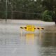 King Tides Are Flooding Your Liability Exposure: Why Architects Can No Longer Treat Chronic Tidal Flooding as Optional