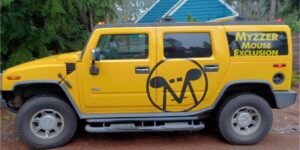 A Detailed Examination of the Myzzer Rodent Exclusion RIP Program and Its Role in Shaping Preventive Rodent Control Standards