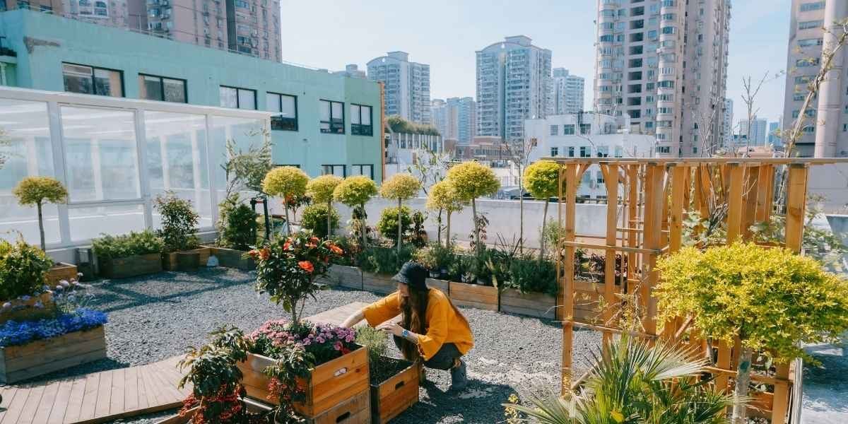 Demand for Sustainable Real Estate Grows as Tenants Seek Greener Buildings