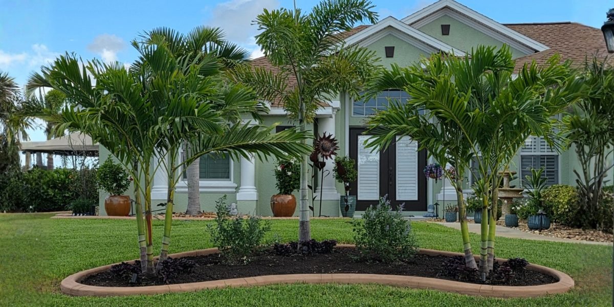 Kustomized Kurbing Enhances Southwest Florida Landscapes with Expert Palm Tree Installation
